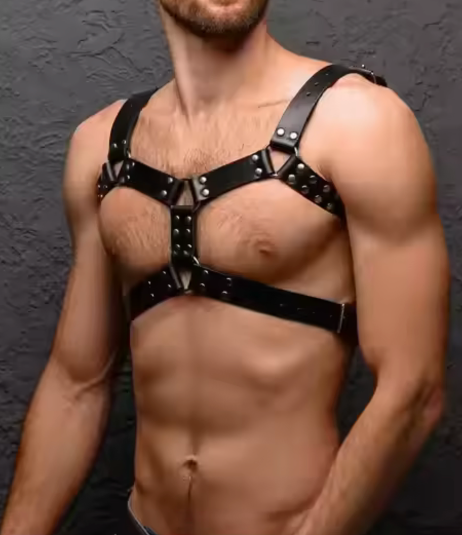 Custom Harness (One Size Fits All)