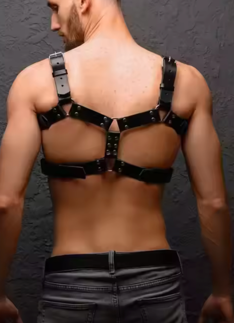 Custom Harness (One Size Fits All)
