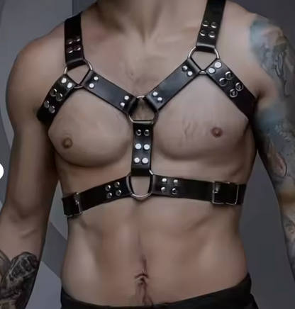 Custom Harness (One Size Fits All)